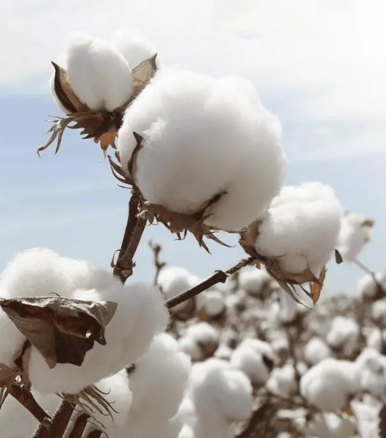 baby changing pad features (3)