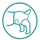 pet-diaper-icon